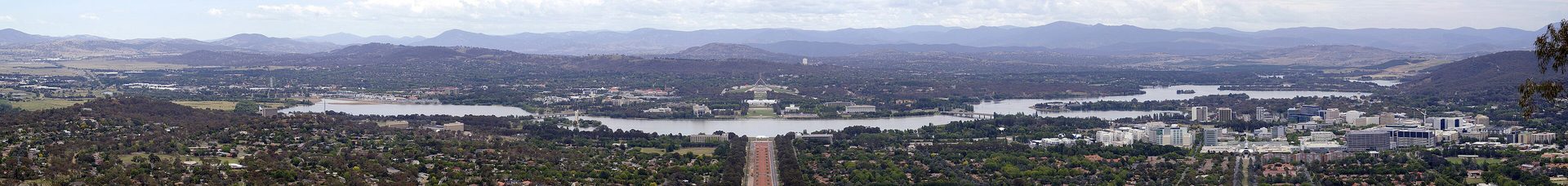 Dead animal removal in Canberra