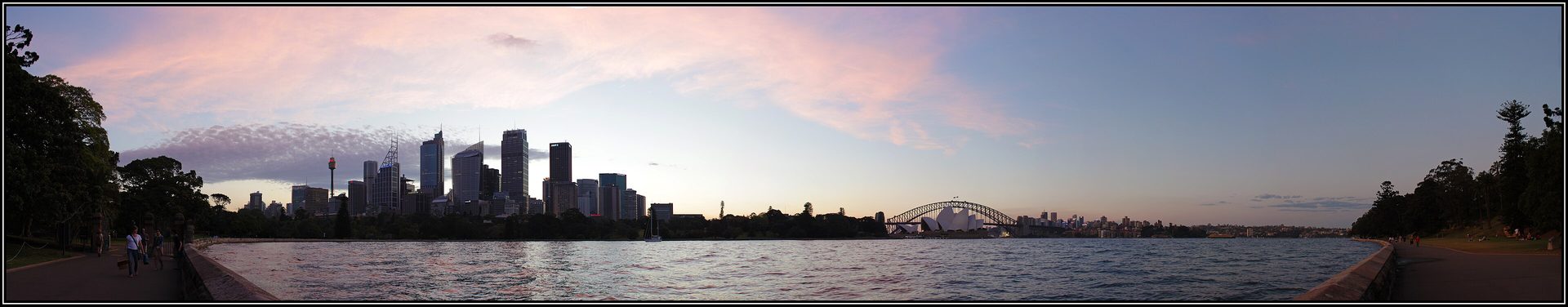 Dead animal removal in Sydney